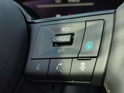 QASHQAI E-POWER 190 PLATINUM PREMIUM