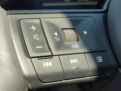 QASHQAI E-POWER 190 PLATINUM PREMIUM