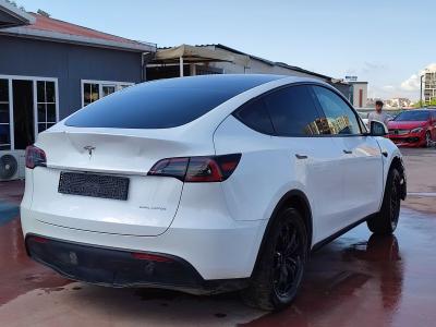 MODEL Y