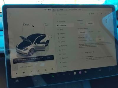 MODEL Y