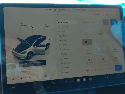 MODEL Y