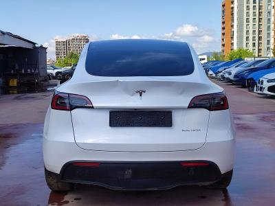 MODEL Y