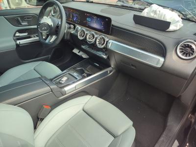 EQB 250+ AMG FL