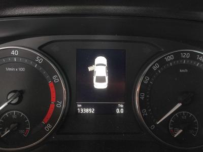 OCTAVIA ELITE 1.0 TSI e-TEC 110 DSG