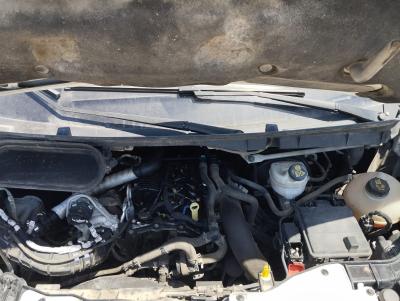 TRANSIT KAMYONET 350L ECOBLUE 170 TREND E6.2