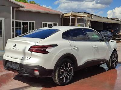 E-C4 X SHINE BOLD 100 KW