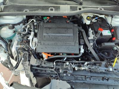 E-C4 X SHINE BOLD 100 KW