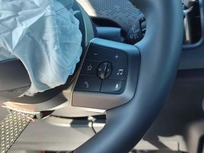 MINI COUNTRYMAN E 204 FAVOURED