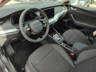 OCTAVIA PREMIUM 1.5 TSI MHEV 150 DSG FL